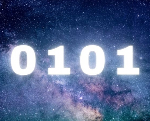 Meaning of the number 0101